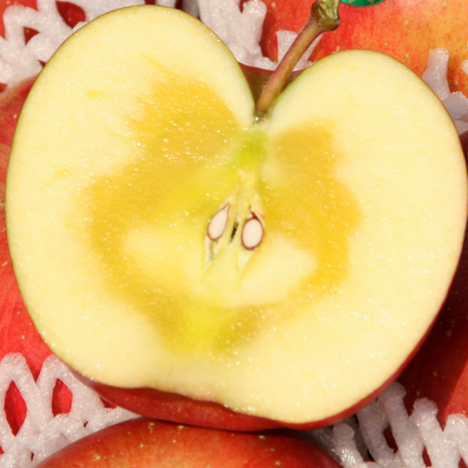 [당일특가] 고당도 경북 부사사과 안동직송, 1박스, 고당도_10kg 대과