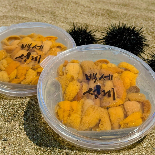 [성게알 전용용기]푸드비트 백세성게 국내산 동해 자연산 성게알 우니 보라 성게알 말똥성게알, 100g, 3개, 국내산 성게알 3팩