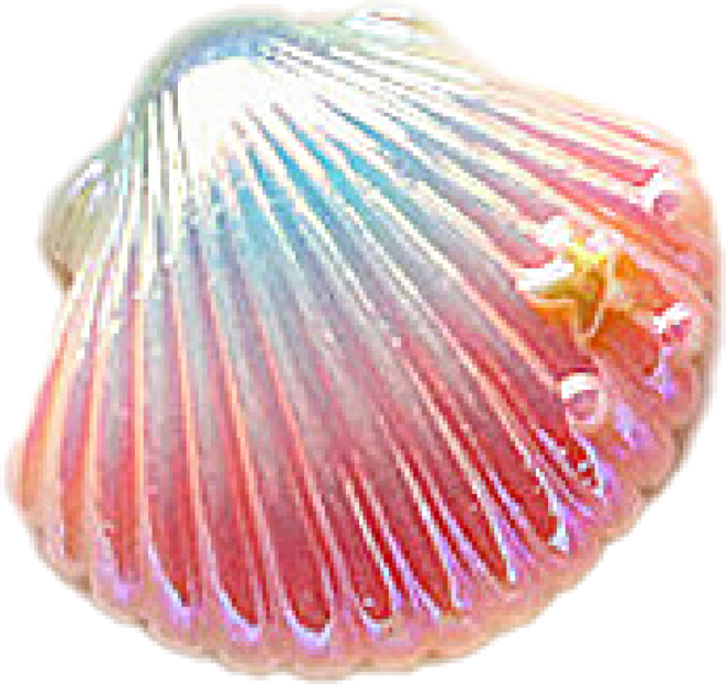 블링블링 보석십자수도구, 보호필름도우미(조개)-핑크, 1개