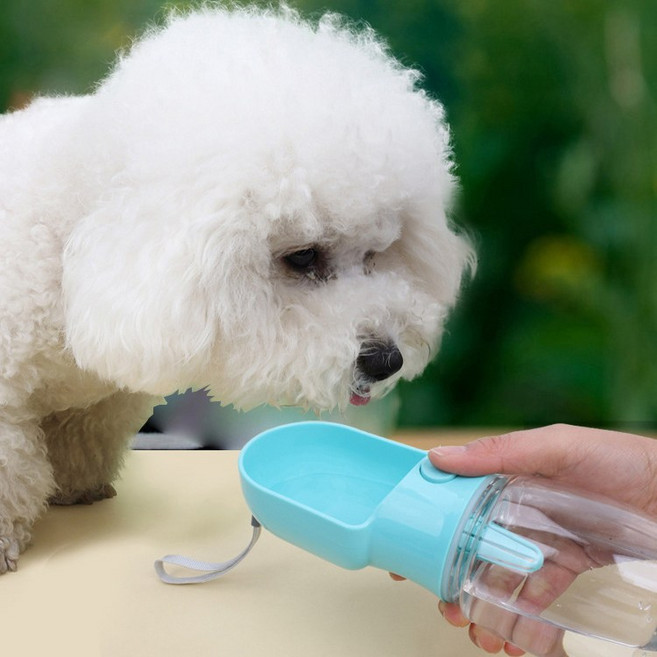 JcOuni반려동물 휴대용 사료 급수기 2in1 물병, 1개, 블루