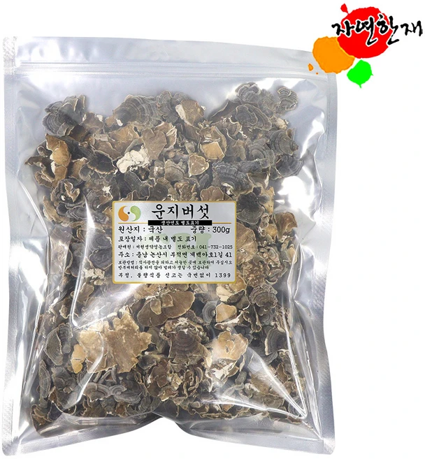 국산 운지버섯 300g 자연산 구름버섯 [toongs]_404s#, 1개, 쿠팡 본상품선택, 쿠팡 본상품선택 - 쿠팡