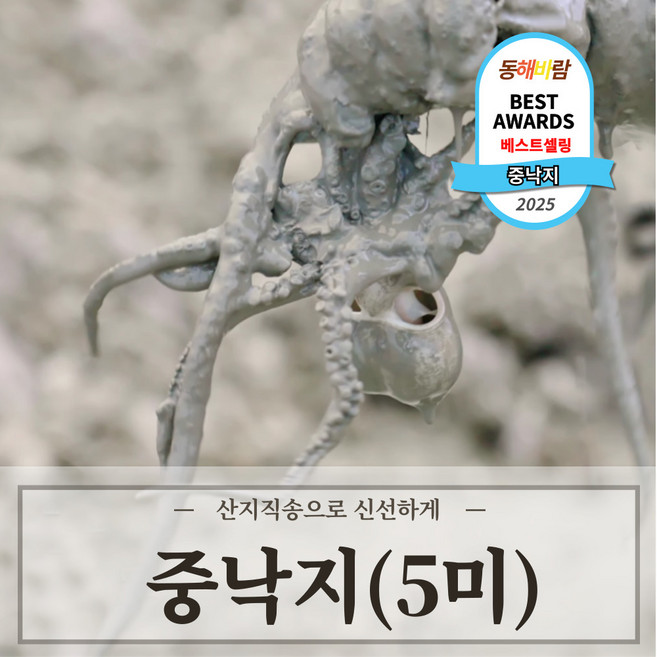 최상급 살아있는 자연산 산낙지, 1세트, 중낙지 5미