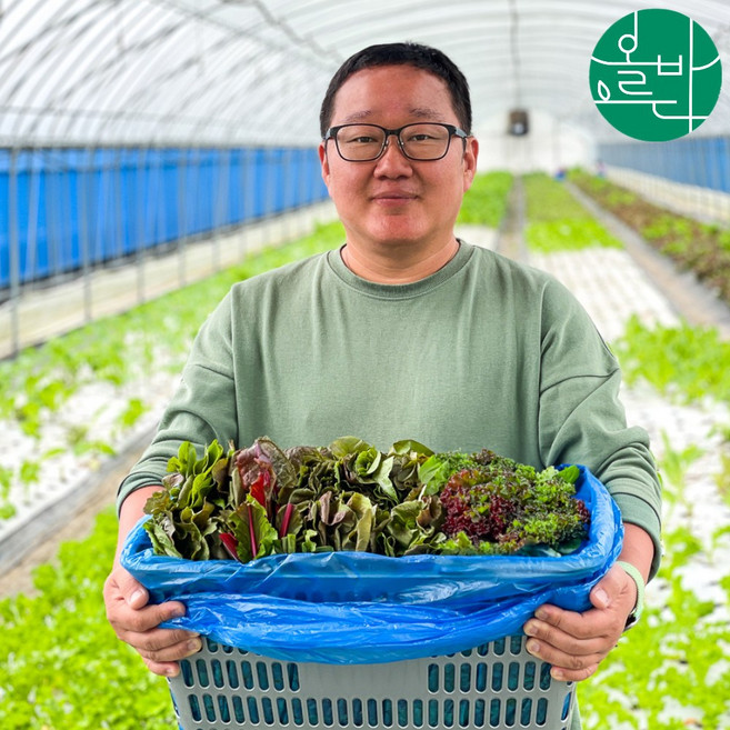 유기농 모듬 쌈채소 유러피안 샐러드 야채, 2박스, 600g