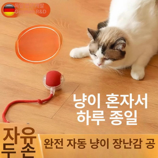 고양이 전동 장난감 자동 움직이는 점프볼 스크래쳐 기능 포함, 1개, 업그레이드 블루 탈모 방지 빗 긴털 개