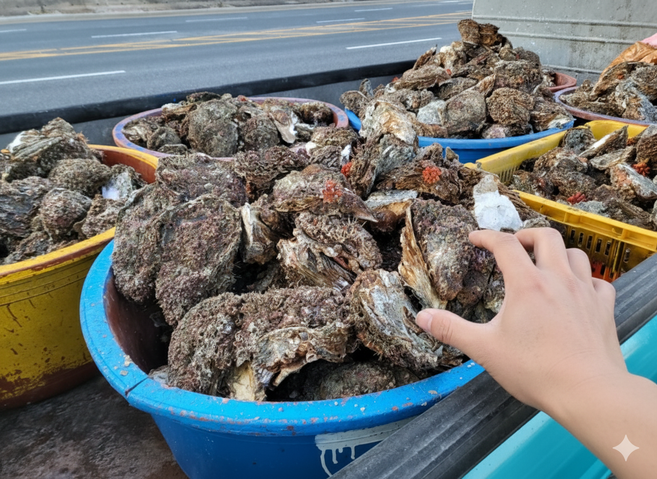[소비자극찬] 다시 찾게 되는 통살 대왕 남해안 바위굴 자연산, 1개, 두사람상회 바위굴 3kg
