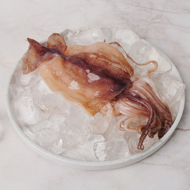 급냉 손질 오징어 자연산 오징어볶음 무늬오징어, 4개, 500g