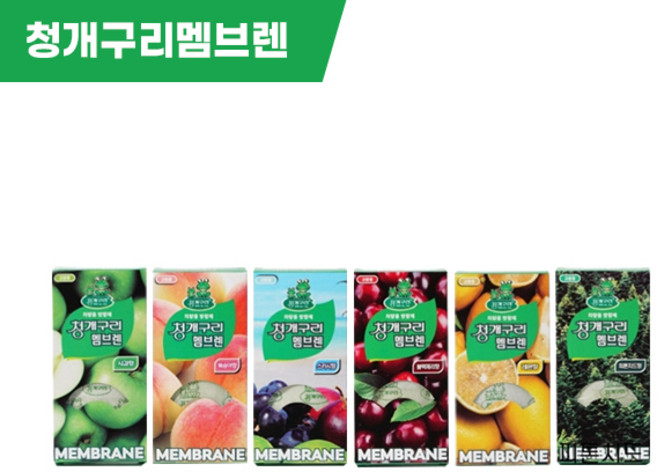 청개구리 멤브렌, 1개, 후레쉬레몬