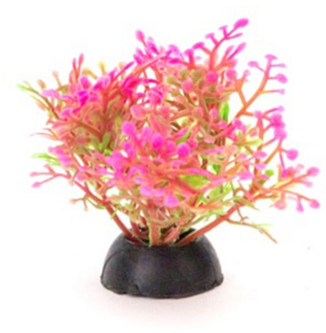 아마존 미니조화 S241/인조조화/수족관장식, 1개