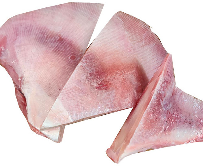 살 많은 가오리날개 절단 [가오리찜전용] 자연산, 1개, 1kg