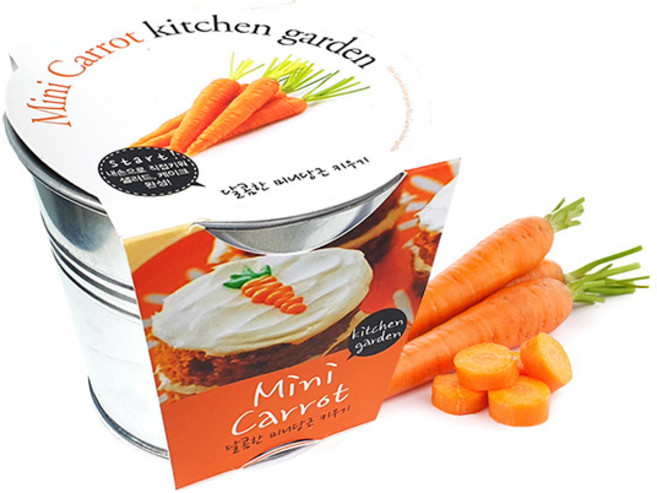 마이플랜트 양철 키친가든 미니당근 키우기 세트 어린이 체험학습 텃밭세트 재배세트