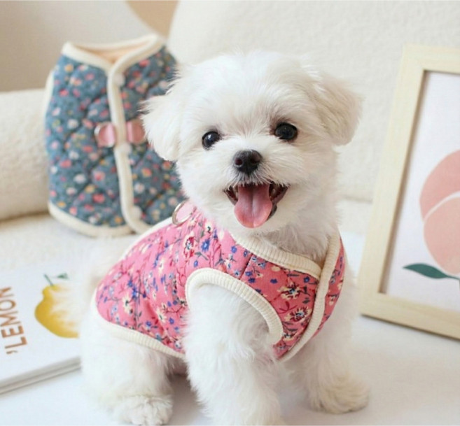 해피조슈아 강아지 김장 누빔 할머니 하네스 조끼, 마미 핑크, 1개