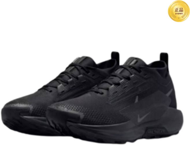 (국내 매장 정품) 나이키 남성 러닝 헬스 워킹 트레킹 쿠셔닝 고어텍스 페가수스 운동화