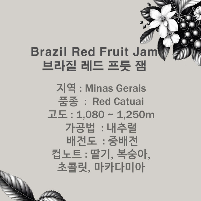 굿커피로스터스 브라질 레드 프룻잼 커피원두, 1개, 500g, 홀빈(분쇄안함)