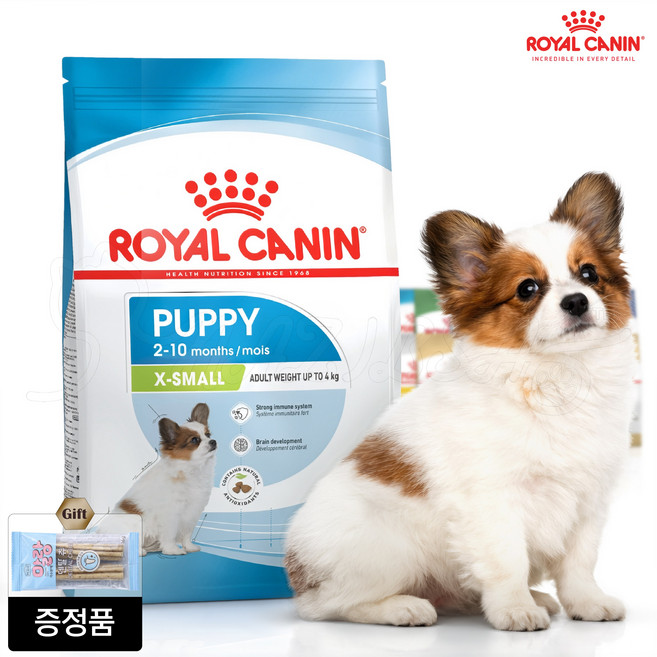 로얄캐닌 엑스스몰 퍼피 3kg 어린초소형견 퍼피사료 + 가수분해 덴탈츄 증정, 2포이상구매시 미니캔 1개 증정, 상세페이지 참조