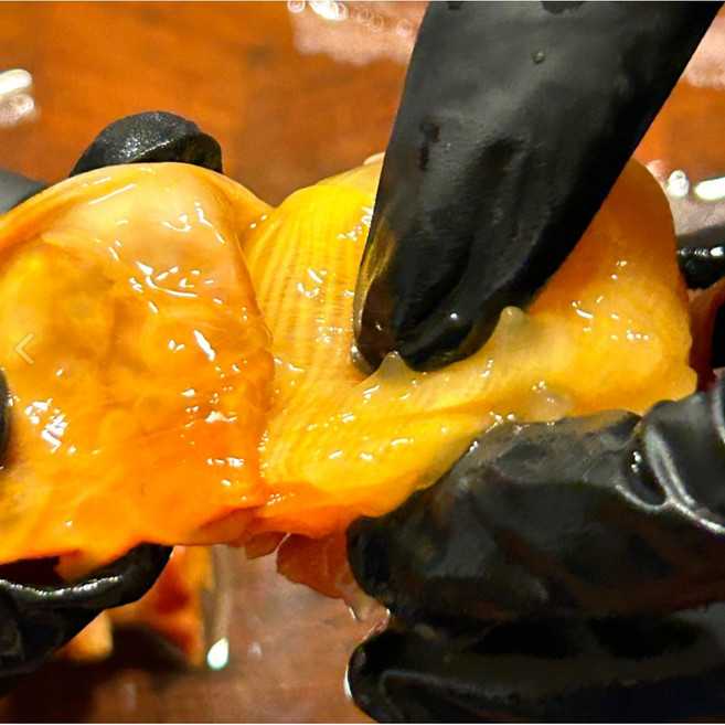 장씨네 당일손질 통영 생물 깐멍게 원물 2~3kg, 1개, 500g x 4