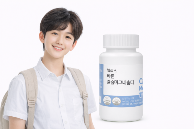 웰러스 바른 칼슘마그네슘디, 1개, 120정