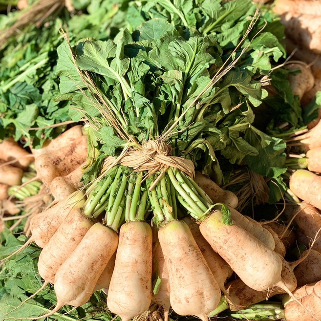 빠리농산 황토 알타리 알타리무 1단 (1.2kg), 1개, 2000g