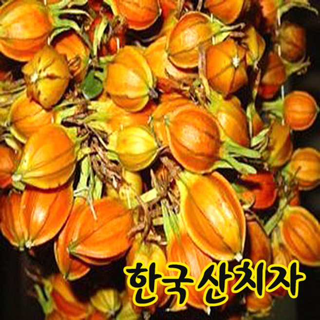 마른치자 한국산 남도생산품 다용도 식재료, 30개, 2g