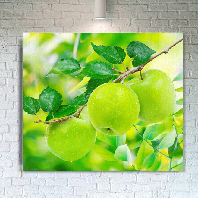 엘티에프티 사과그림액자 캔버스 청사과 홍사과 금전운 인테리어액자 풍수그림액자, 7. 아침햇살 청사과 3과실 가로형