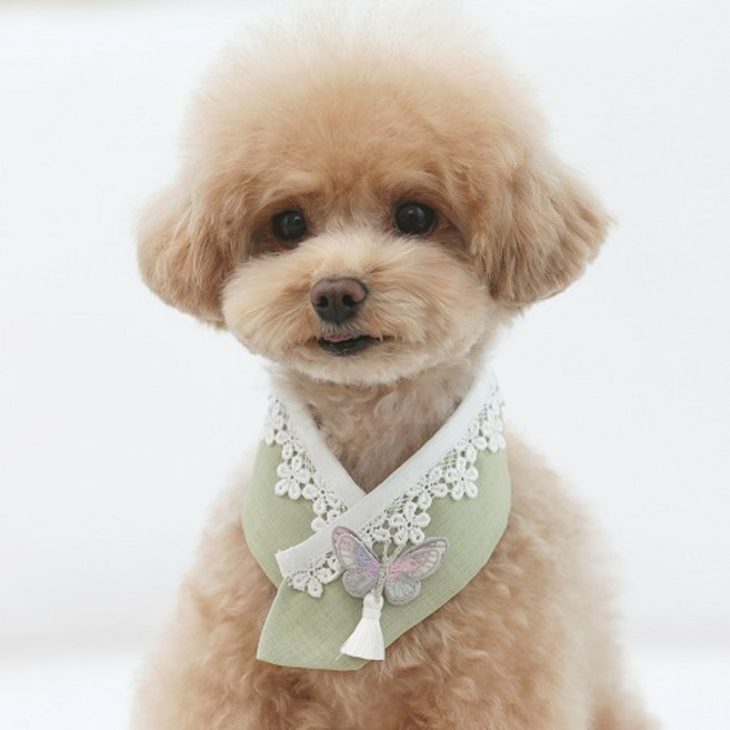 강아지 고양이용 설날 설빔 추석 한복 목도리 스카프 미르 한복 케이프, 연두, 1개