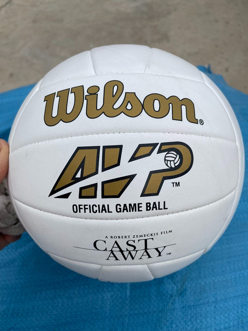 威爾勝 荒島餘生同款 機縫耐用訓練比賽PU沙灘中考5號排球, 1個, 參考詳情頁