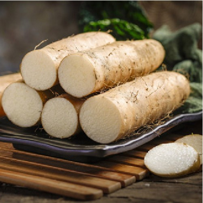 <컴팜> 장마 실속형, 1박스, 2kg