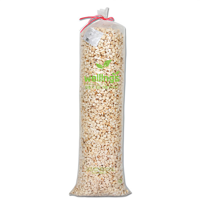 우리식품 우리왕 찰옥콘스토리 강냉이, 1.5kg, 1개