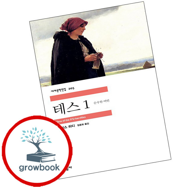 테스 1(민음사 세계문학전집 205), 토머스하디, 민음사