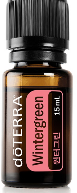 도테라 윈터그린 오일 15ml 싱쾌한향 (항염 진통 근육통 딥브루에 사용됨), 1개