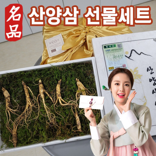 [명품] 강원도 산양삼 산양삼산삼 산삼 산양산삼 장뇌삼 6년근 5 6년 10년근 추석선물 5년산삼 6년근5뿌리 못난이 장뇌산삼 산양삼6년못난이 10년 20 뿌리, (v)20년이상프리미엄(10뿌리+파지5뿌리+엑기스1포), 1개