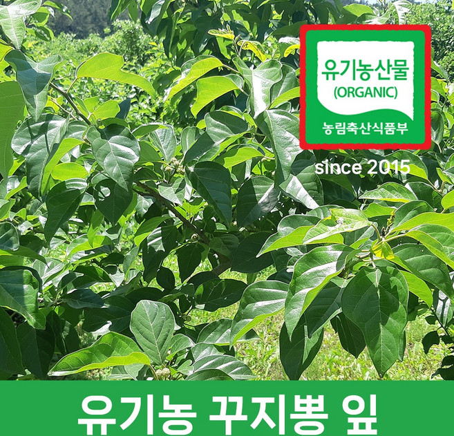 건전농부 유기농 꾸지뽕 잎, 1개