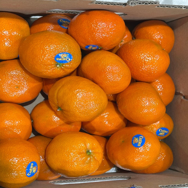 (도매가) 금메달농수산 로얄과 만다린귤, 1개, 2kg