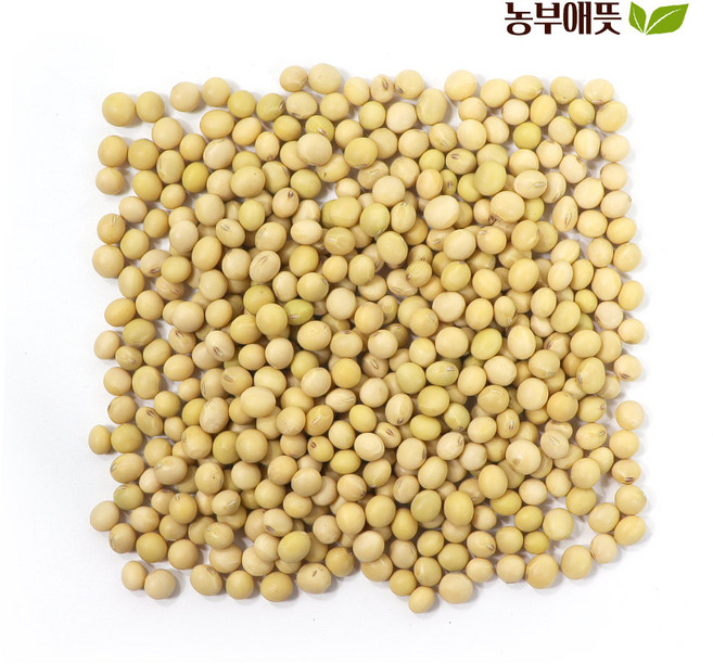 농부애뜻 국산 25년산 햇 콩나물콩 노란 콩나물 콩 유태, 1팩, 500g(노란)