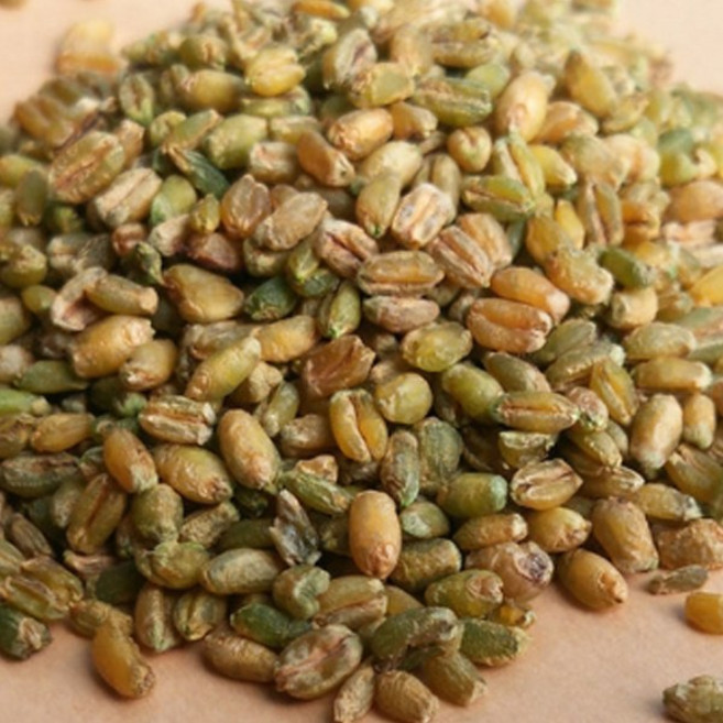 [가온애] 프리카, 1개, 500g