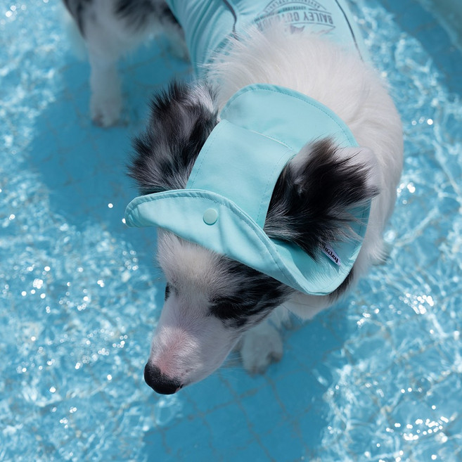 베일리펫 강아지썬캡 애견모자 여름 자외선차단 UV쿨링캡, 1개, 민트