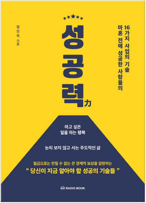성공력 (마스크제공), 단품