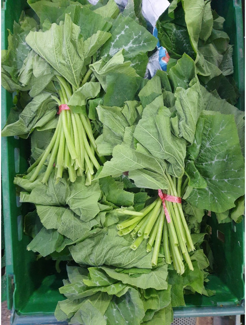 [부드러운] 조선 호박잎 호박잎 나물 쌈, 1kg, 1개