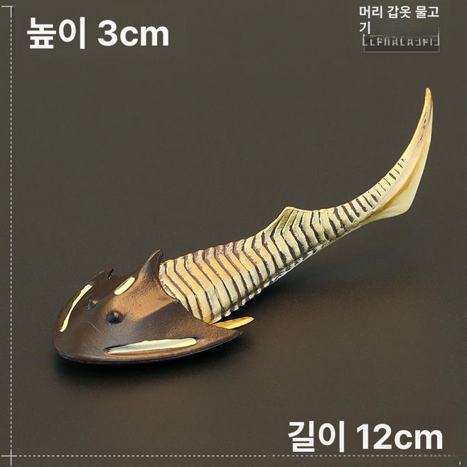 고대생물 해양동물 앵무조개 교육 앵무 오렌지 피규어, 커피색 헤드케어, 1개