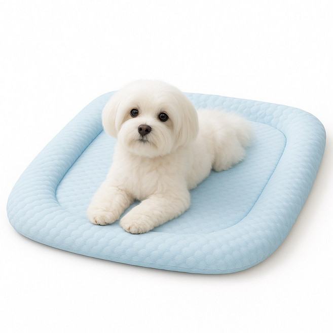 펫잇 강아지 고양이 여름 쿨매트 쿨방석, 하늘색, 1개