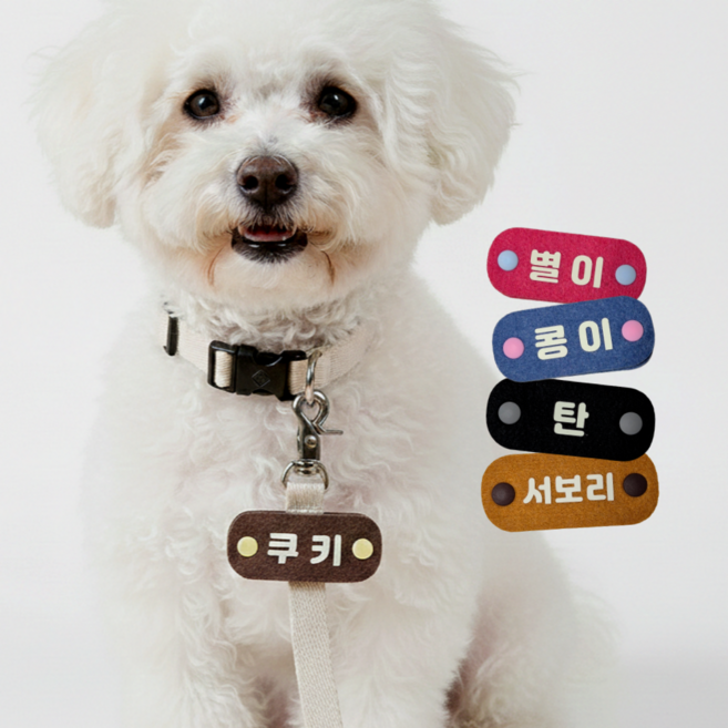 야광 강아지 인식표 반려견 이름표 명찰 네임택, 1개, 브라운(노란단추)