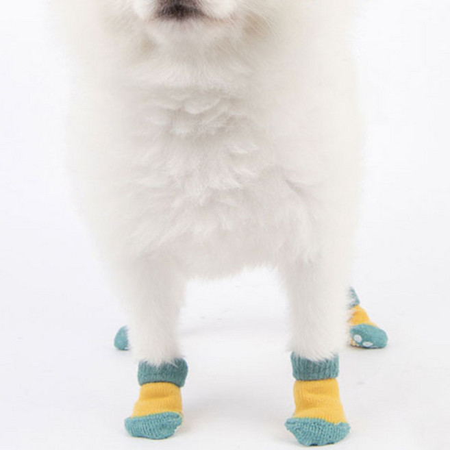 올치 트렌디 배색 반려동물 양말 4p, 옐로우, 1개