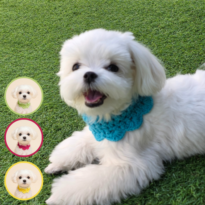 멍포우즈 핸드메이드 강아지 케이프 고양이 스카프 반다나 2P, 연하늘, 2개
