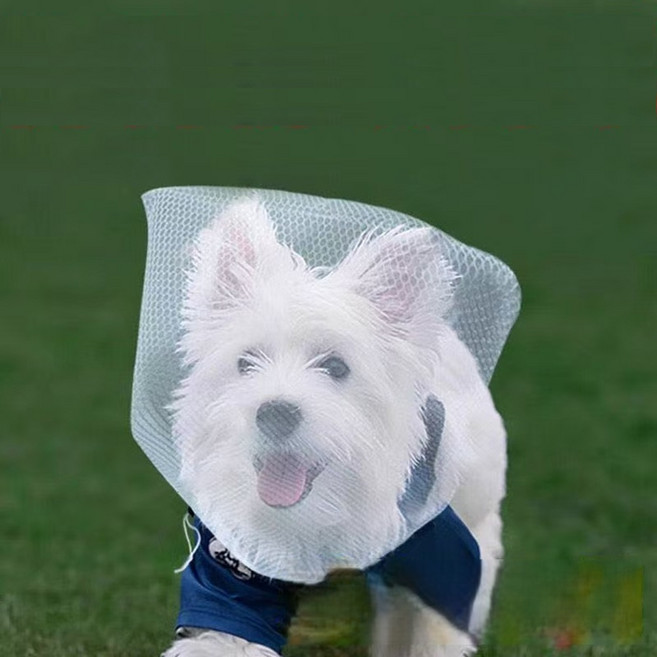 호담즈 이물섭취방지 강아지 페이스커버, 5개, 화이트