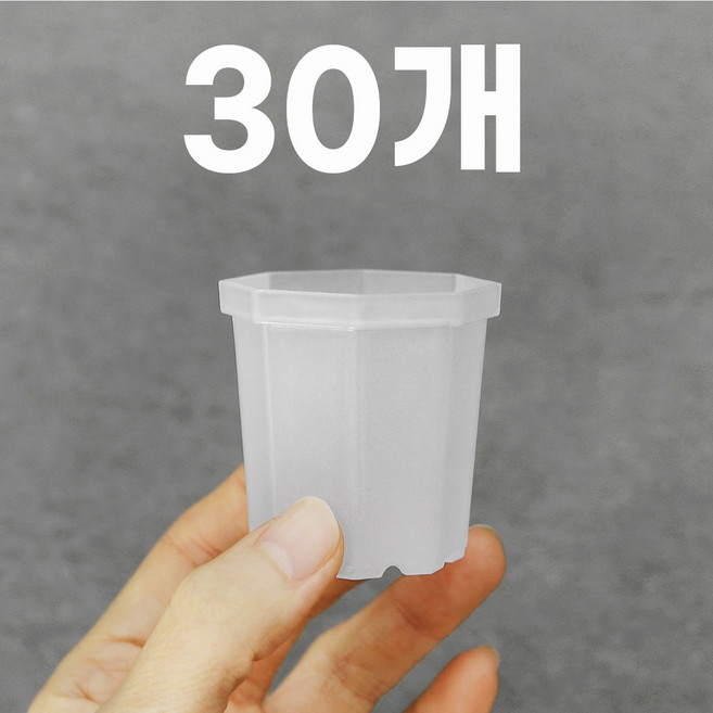 미니 투명 팔각화분 플라스틱 슬릿 삽목화분, 30개, 반투명