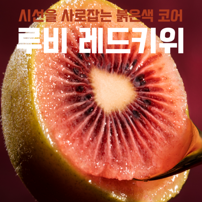 루비 레드 키위 제스프리 압도적 단맛이, 1박스, 제스프리 루비레드 키위 중과 20입