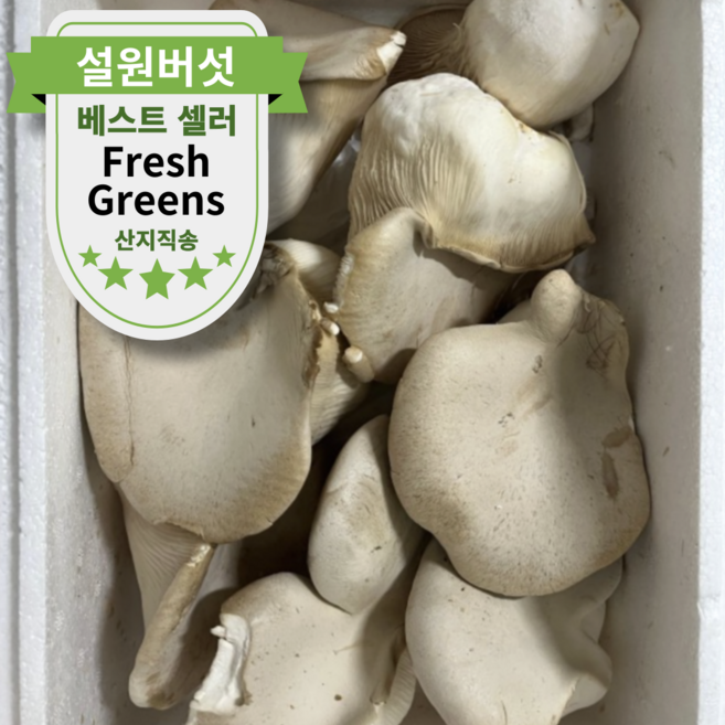 국내산 못난이 설원버섯 크기 혼합사이즈 실속형, 1박스, 3kg