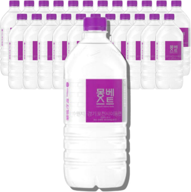 몽베스트 무라벨 생수, 500ml, 100개