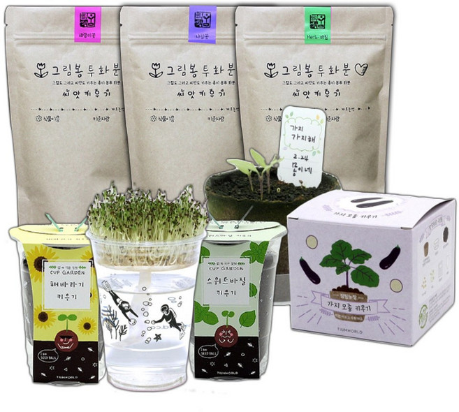 슬로시 어린이집 유치원 교육용 키우기 좋은 식물화분 꽃 허브 새싹 씨앗 재배세트, 무순 (한컵새싹농장)
