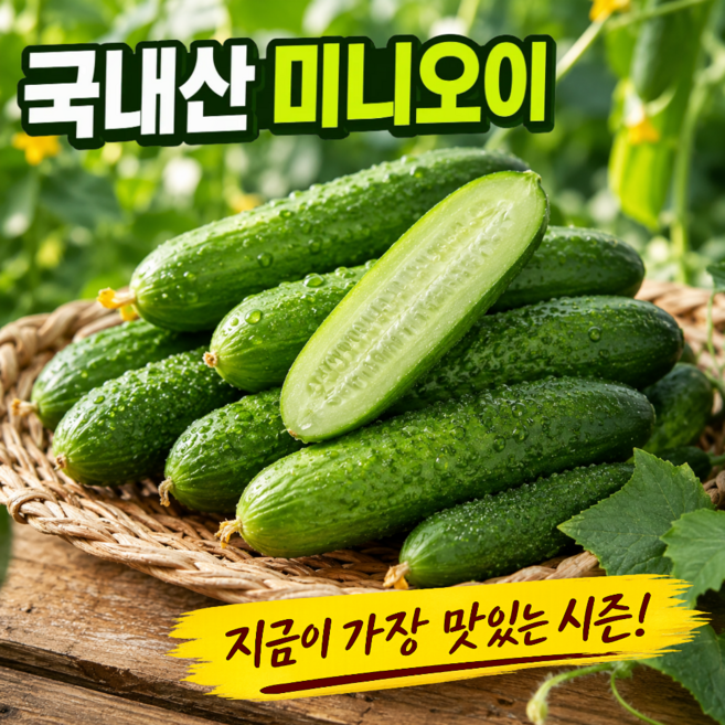 [나나식탁] 아삭한 미니오이 국내산 저칼로리 스낵오이 피클오이, 1박스, 2kg