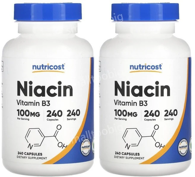 뉴트리코스트 나이아신 500mg 비타민b3 240정 2통, 2개 - 쿠팡
